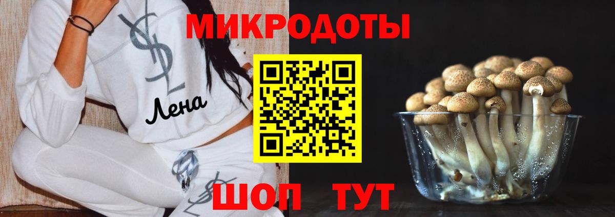 Кизилюрт  Галлюциногенные грибы мицелий  Вход с VPN 